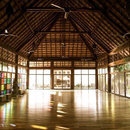 Las Ranitas Eco Boutique Hotel 图卢姆 外观 照片