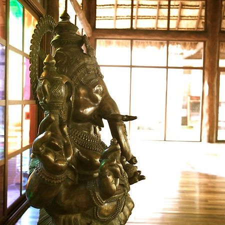 Las Ranitas Eco Boutique Hotel 图卢姆 外观 照片