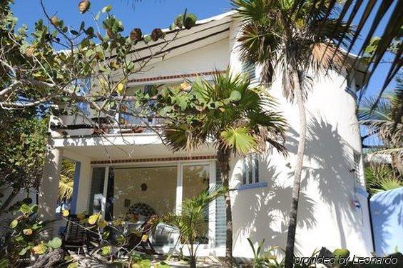 Las Ranitas Eco Boutique Hotel 图卢姆 外观 照片