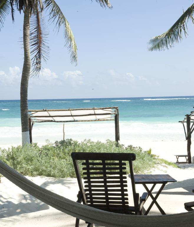 Las Ranitas Eco Boutique Hotel 图卢姆 客房 照片