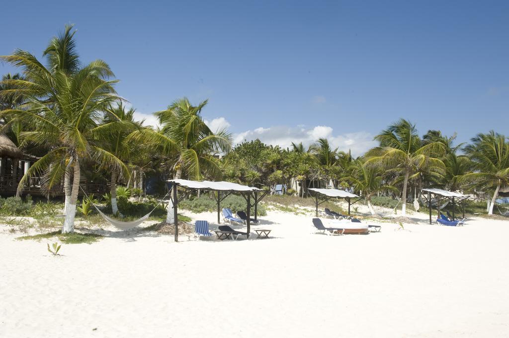 Las Ranitas Eco Boutique Hotel 图卢姆 客房 照片