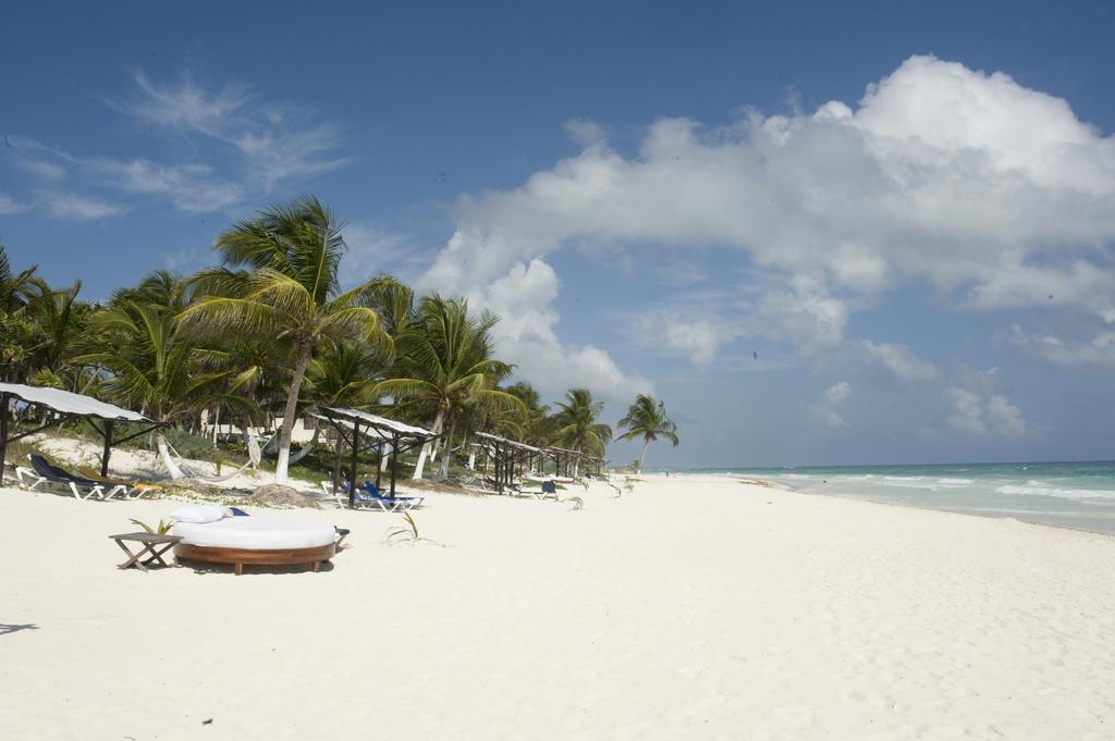 Las Ranitas Eco Boutique Hotel 图卢姆 客房 照片