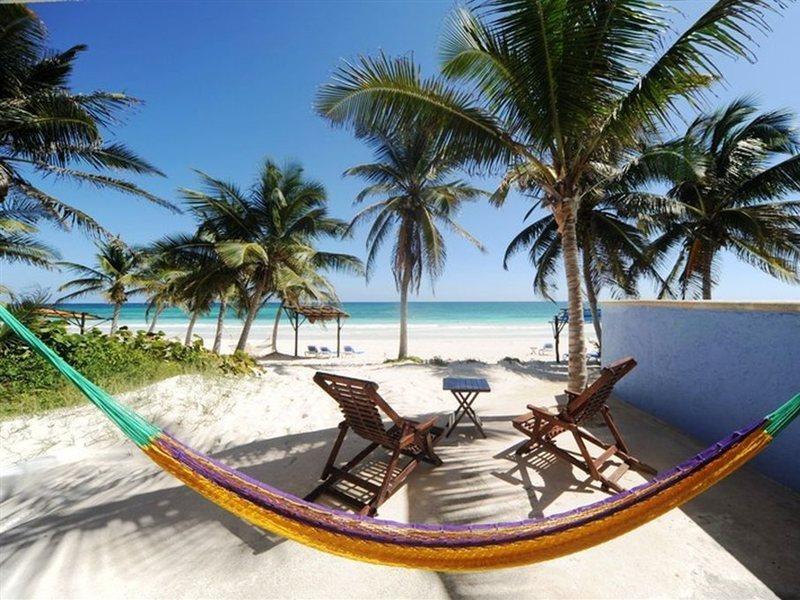 Las Ranitas Eco Boutique Hotel 图卢姆 外观 照片